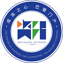 泸州队